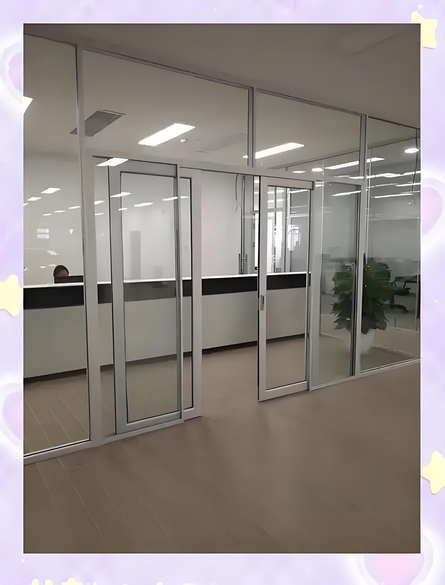 Office partition door
