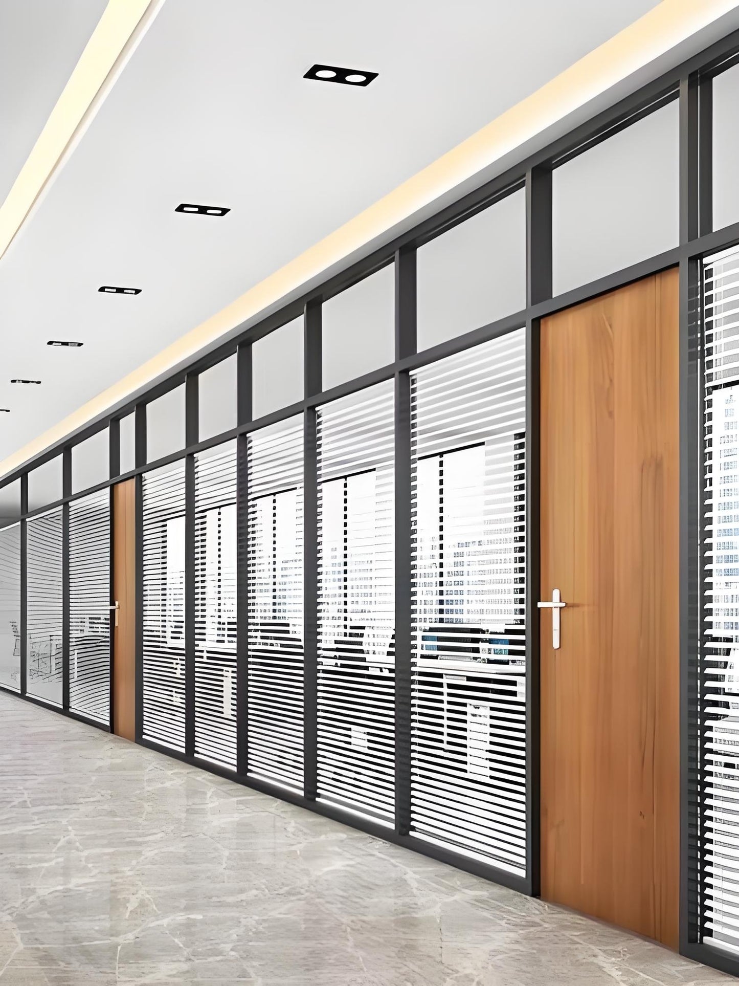 Office partition door