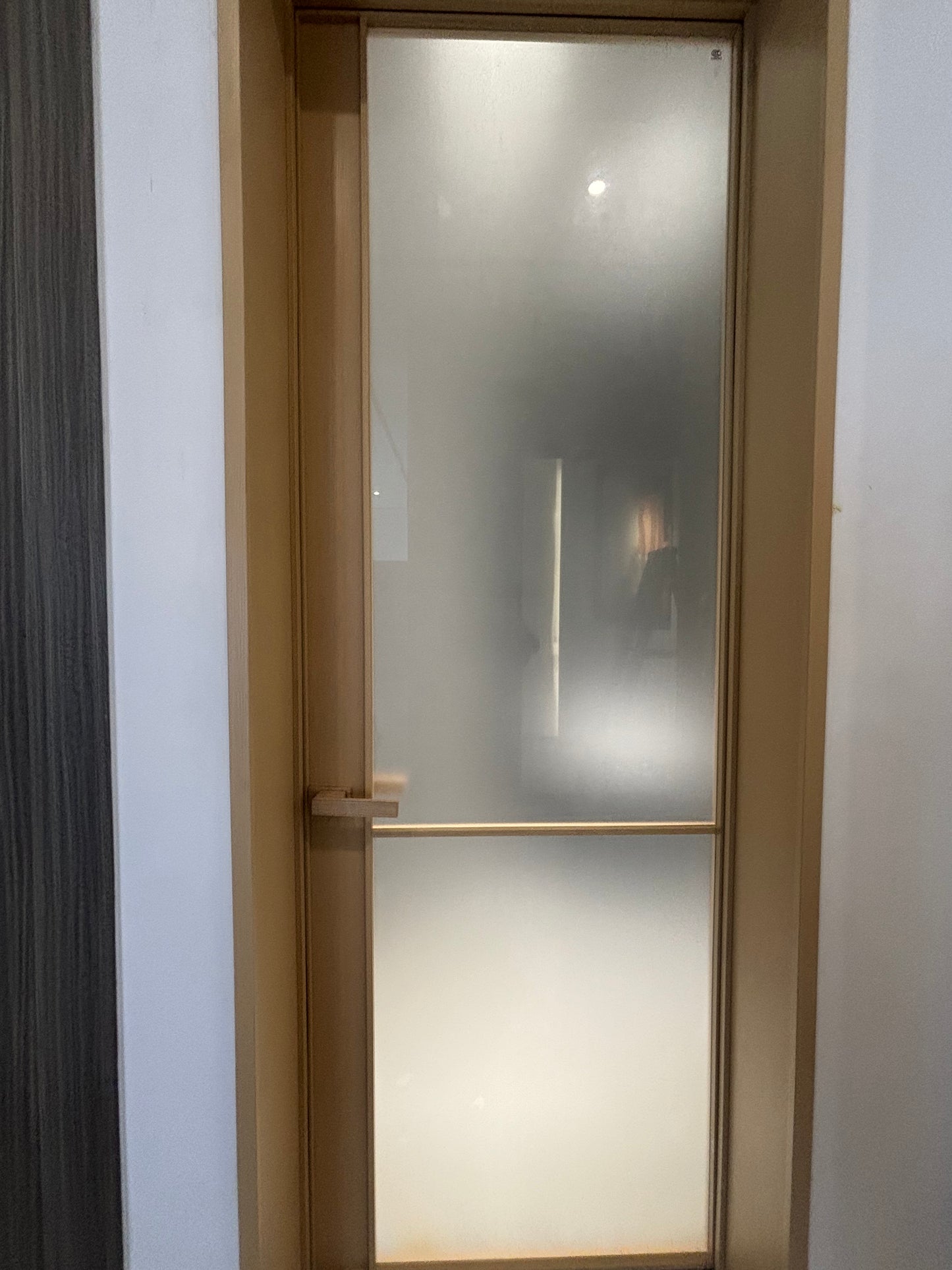 Aluminum-wood door